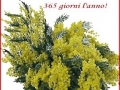 IMG-20150509-WA0001